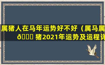 属猪人在马年运势好不好（属马属 🐕 猪2021年运势及运程详解）